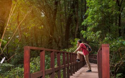 A Guide to Heritage Walks and Cultural Spots in Panjim
